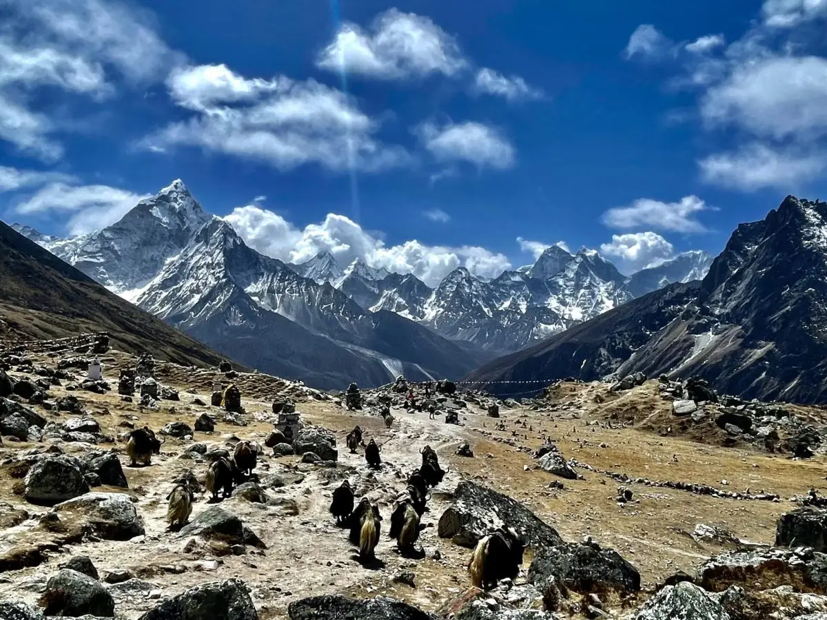 Trekking in Nepal für Frauen