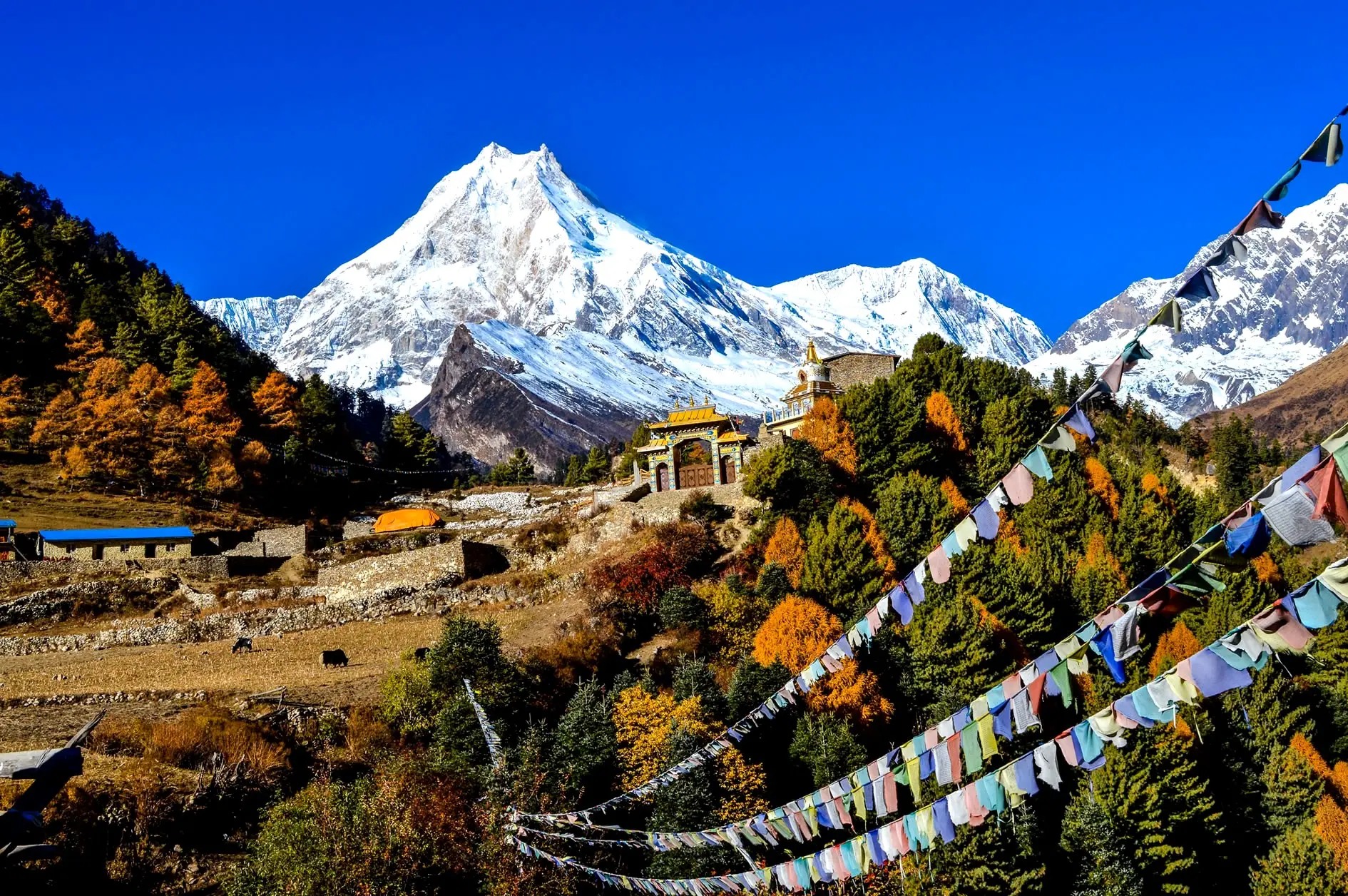 Manaslu Circuit Trek