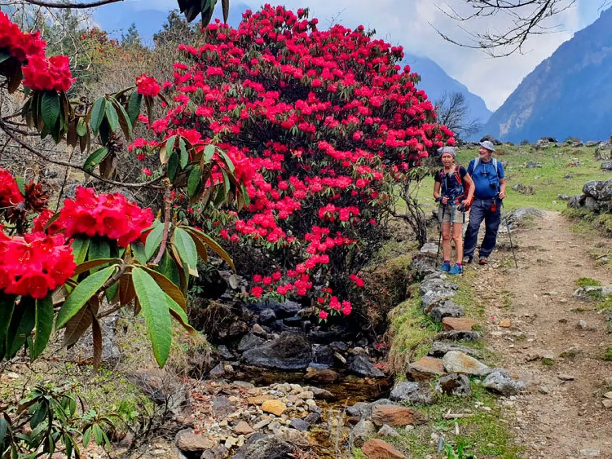 Best time for Manaslu Circuit Trek 
