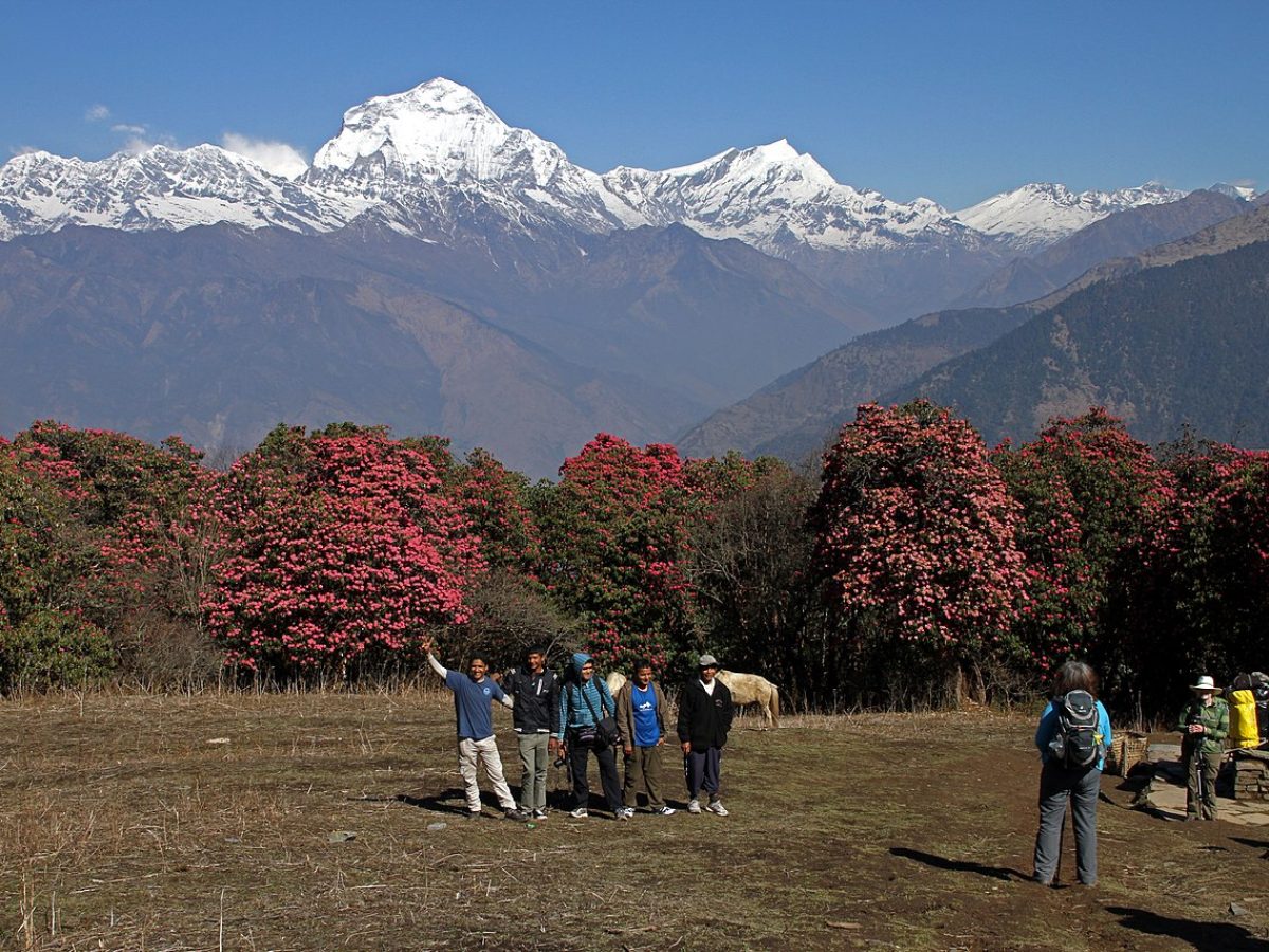 A Beginner’s Guide to Exploring Nepal