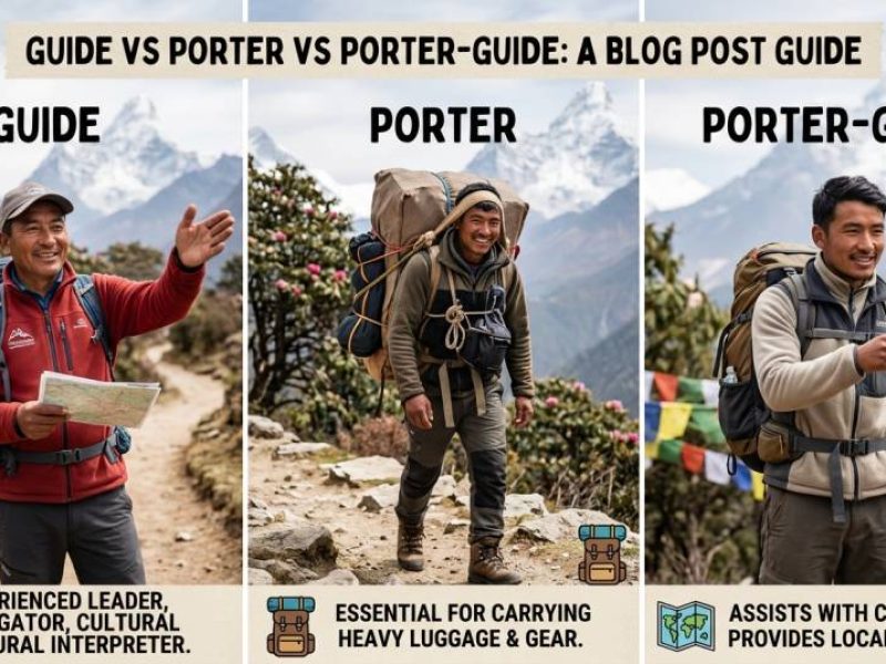 Guide vs Porter vs Porter-Guide